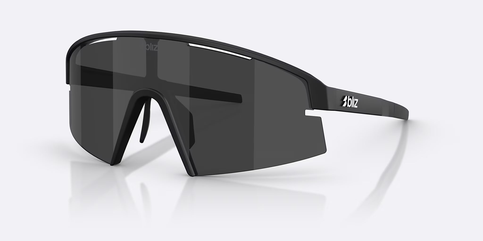 Lentes Bliz P006 Matte Black