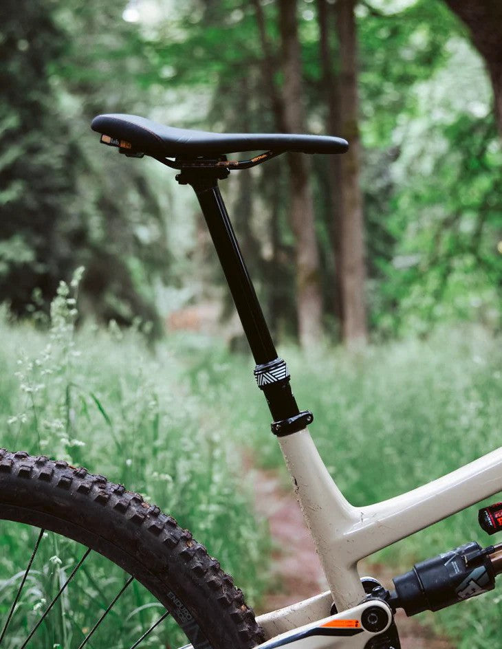 Dropper Cableado Interno PNW Rainier 3