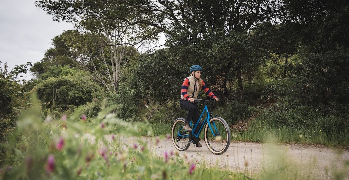 Bicicleta Urbana Eléctrica Larkspur E