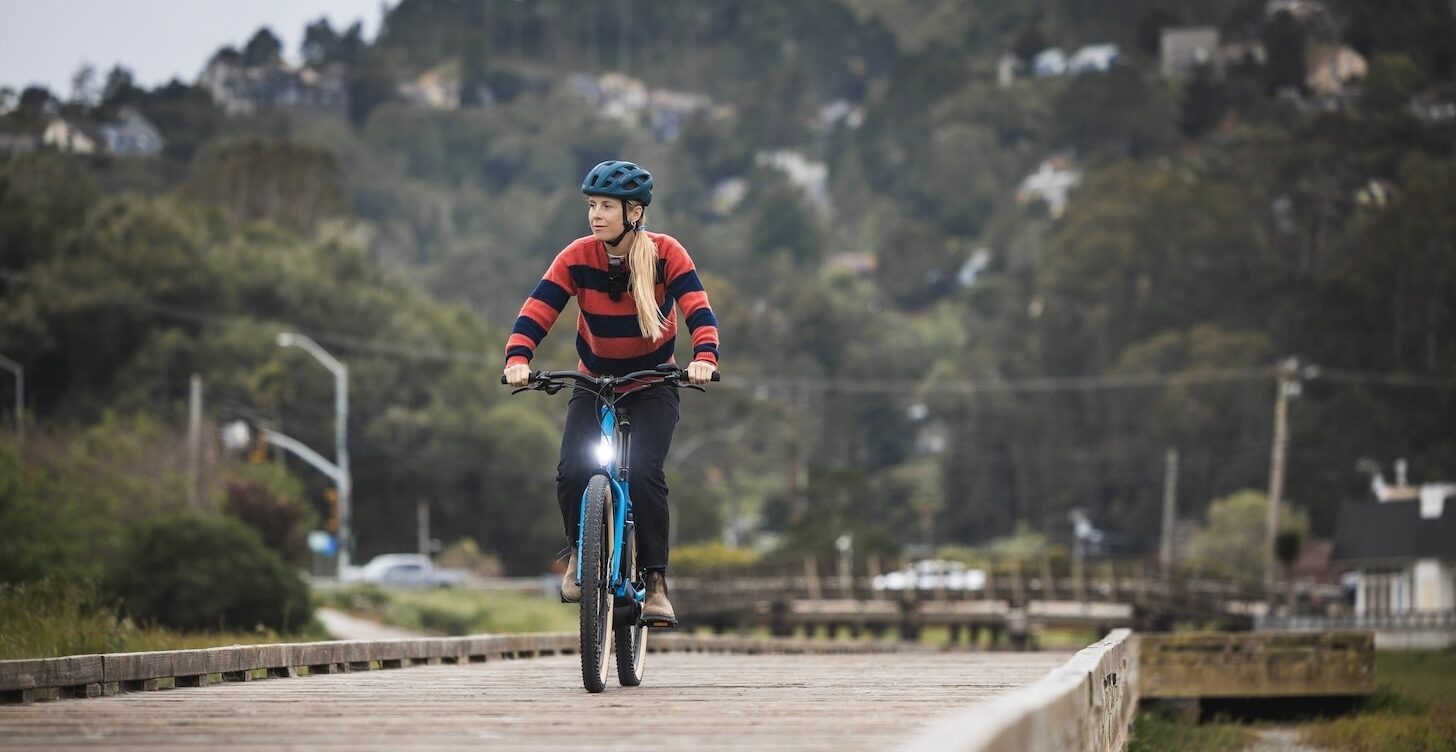 Bicicleta Urbana Eléctrica Larkspur E