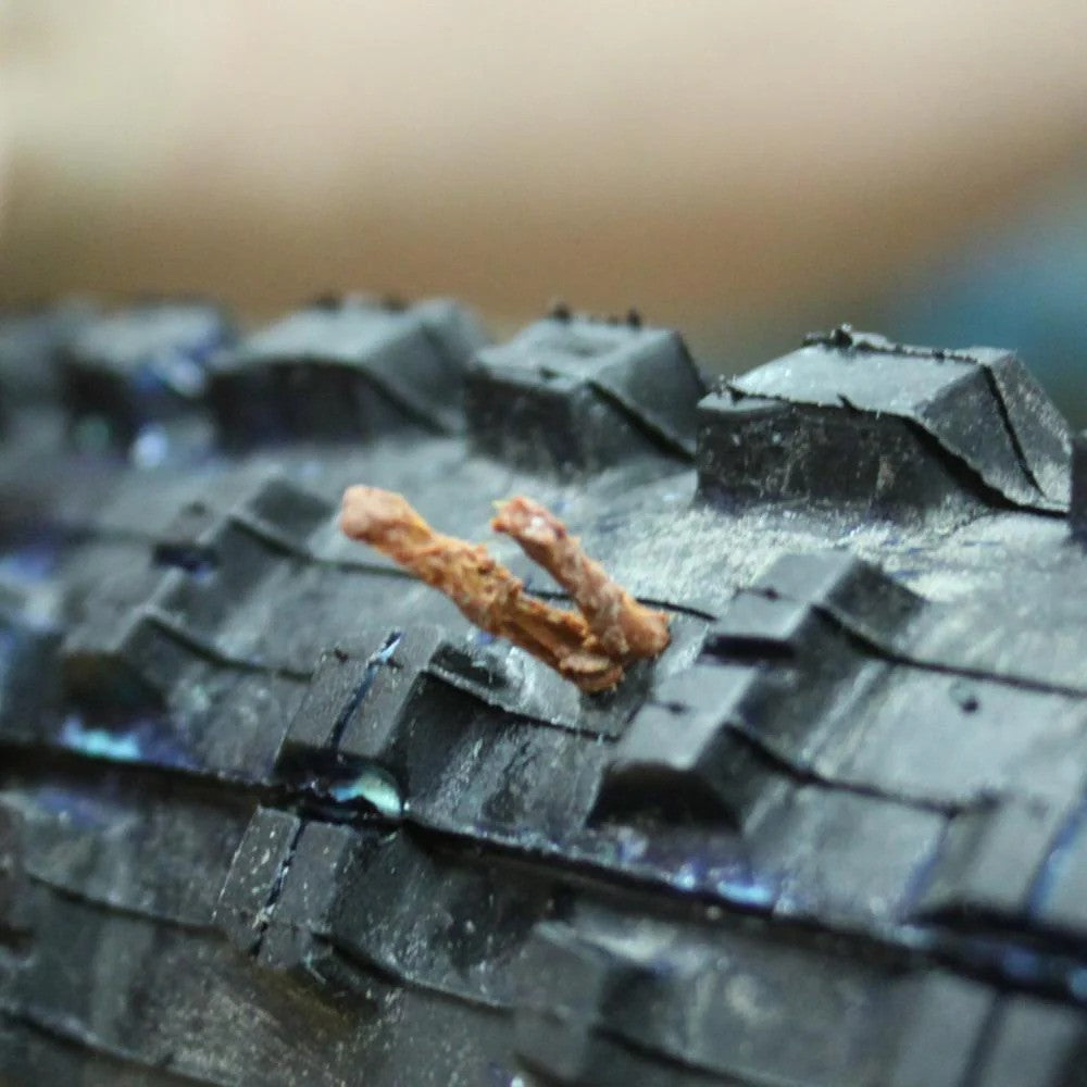 Side of Bacon Genuine Innovations