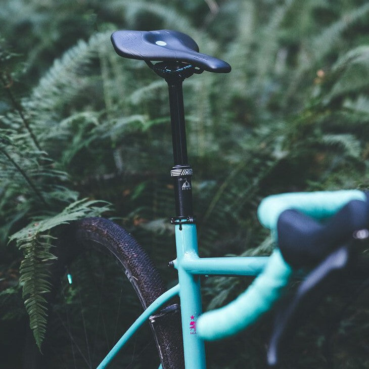 Dropper Cableado Interno PNW Rainier 3