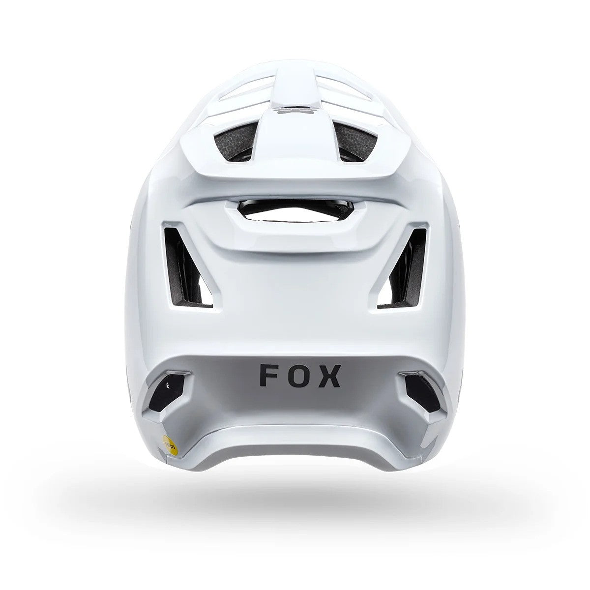 Casco Fox Rampage Ce