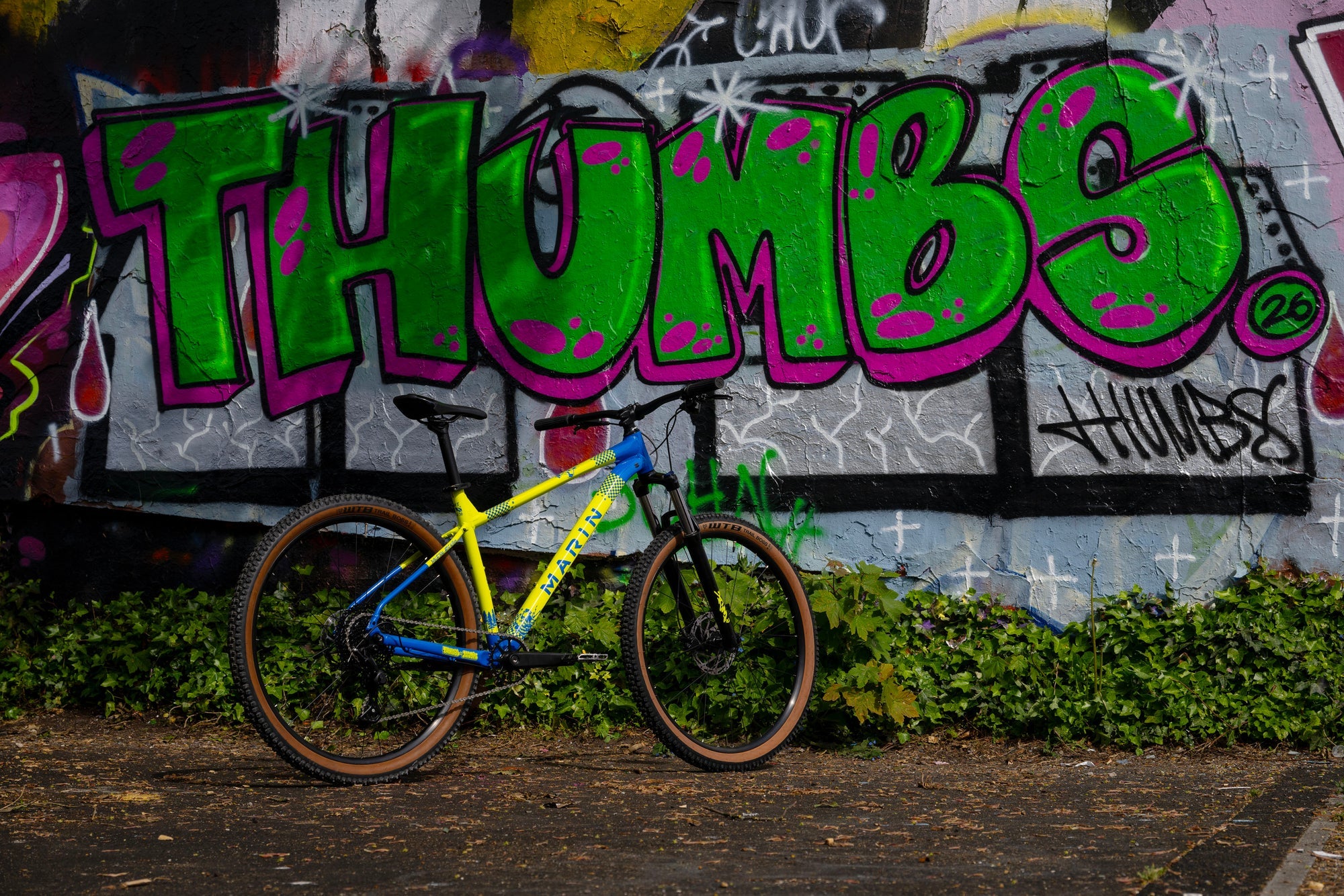 Bicicleta de Montaña Hardtail Bobcat Trail 3 29'' Marin Bikes (2026) ARTIST EDITION: THUMBS