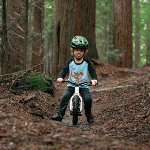 Bicicleta Shotgun Dirt Hero Balance 12″ con freno Magura