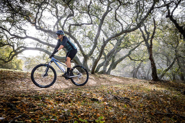 Bicicleta de Montaña Para Mujer Wildcat Trail 3 27.5" Plata Hardtail (2022) Marin Bikes