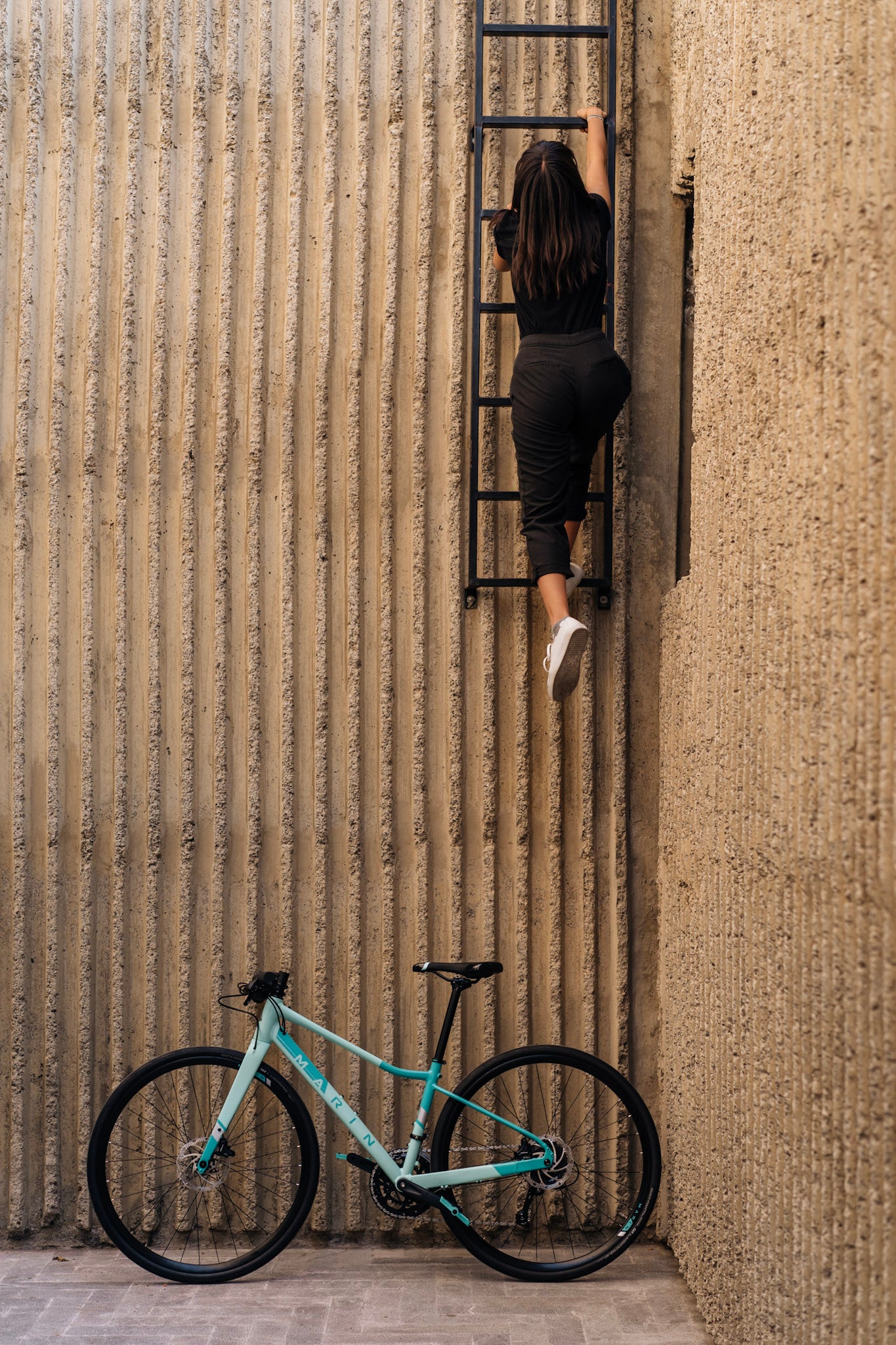 Bicicleta Urbana de Mujer Terra Linda 3 (2021) Marin Bikes