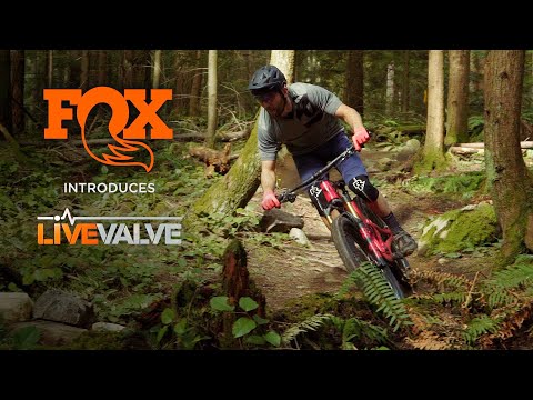 Bicicleta de Montaña Doble Suspensión Trail 429 Pro XT/XTR Silver con Live Valve (2023) Pivot Cycles