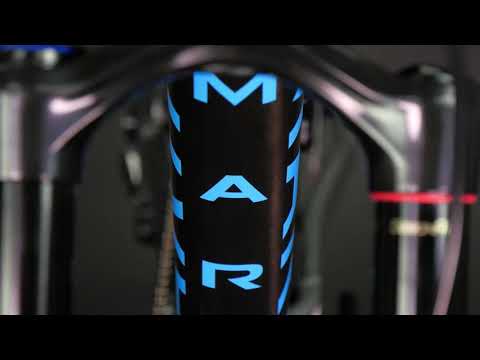 Bicicleta de Montaña Doble Suspensión Alpine Trail Carbon 1 29" (2024) Marin Bikes